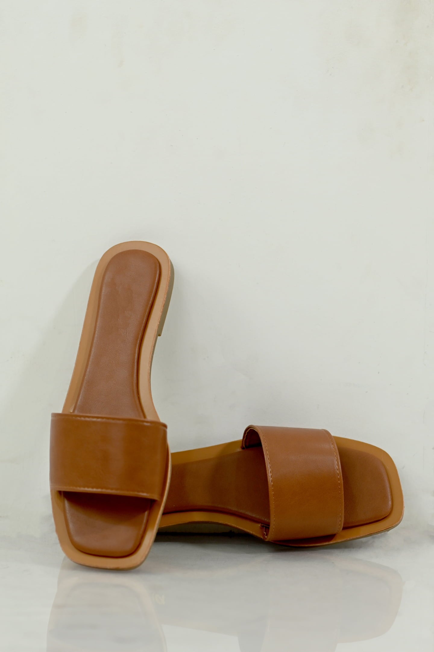 Very Basic Slides (Tan)