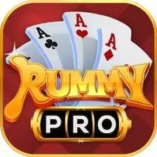 Rummy Pro Icon